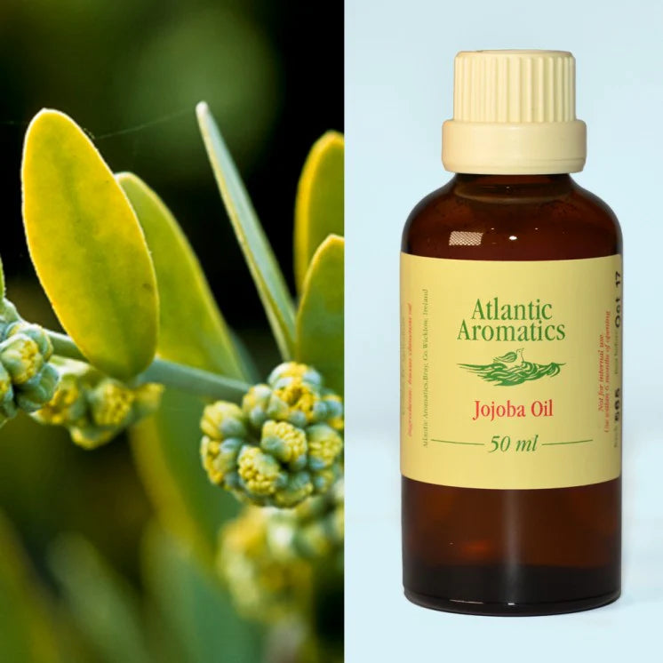 Huile de jojoba biologique Atlantic Aromatics, 3 x 50 ml