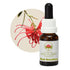 Australian Bush Red Grevillea 15ml