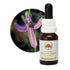 Australian Bush Angelsword 15ml