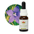 Australian Bush Bluebell 15ml