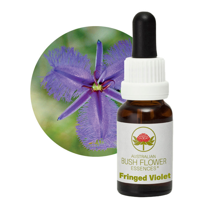 Australian Bush Fringed Violet 15ml
