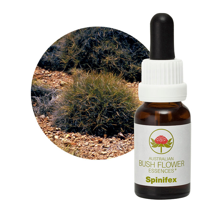 Australian Bush Spinifex 15ml