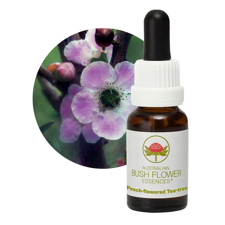 Australian Bush Peach Flowered Tea Tree 15ml
