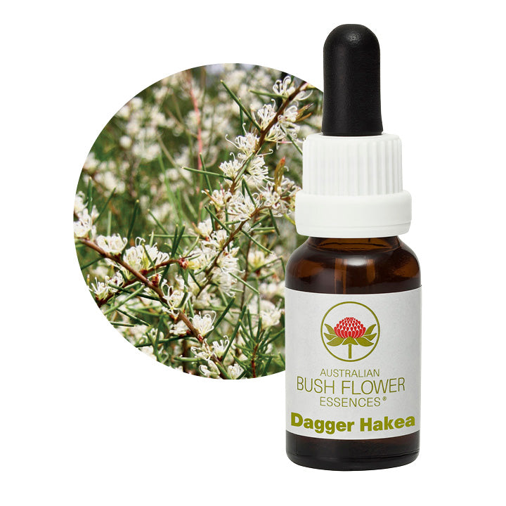 Australian Bush Dagger Hakea 15ml