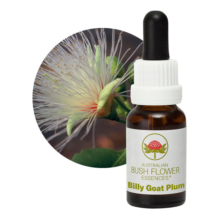 Australian Bush Billy Goat Plum 15ml