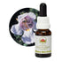 Australian Bush Alpine Mint Bush 15ml