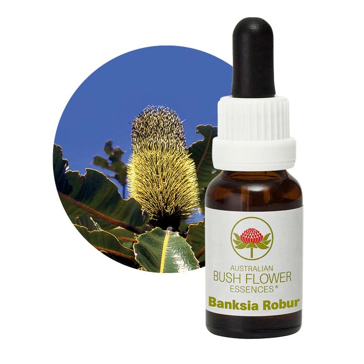Australian Bush Banksia Robur 15ml