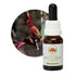 Australian Bush Bauhinia 15ml
