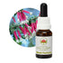 Australian Bush Bush Fuchsia 15ml