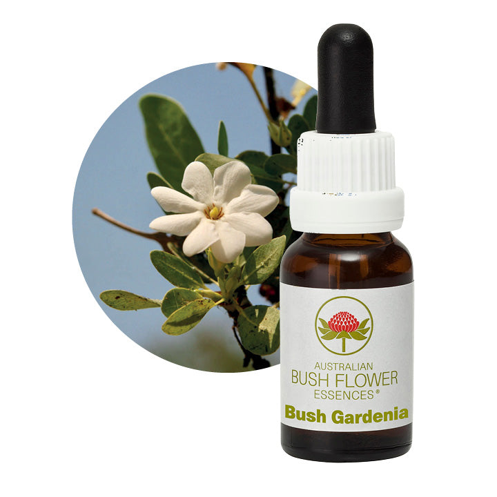 Australian Bush Bush Gardenia 15ml