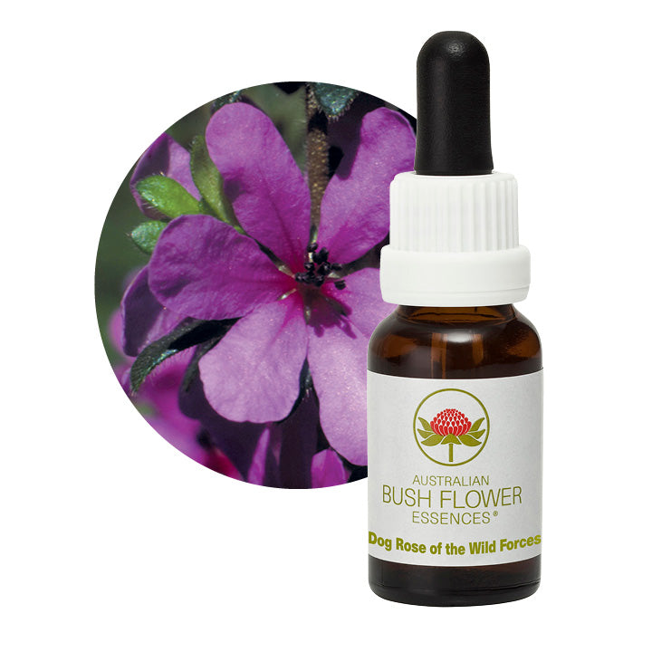 Australian Bush Dog Rose of the Wild Forces 15ml