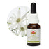 Australian Bush Flannel Flower 15ml