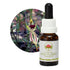 Australian Bush Green Spider Orchid 15ml