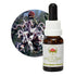 Australian Bush Grey Spider Flower 15ml