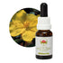 Australian Bush Hibbertia 15ml