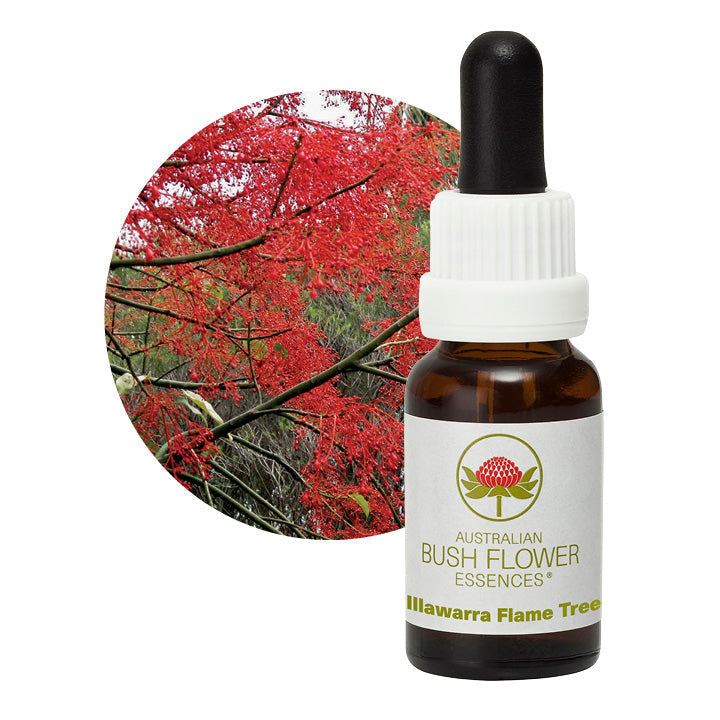 Australian Bush Illawarra Flame Tree 15ml
