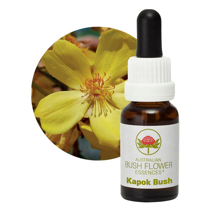 Australian Bush Kapok Bush 15ml