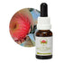 Australian Bush Macrocarpa 15ml