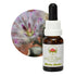 Australian Bush Mulla Mulla 15ml