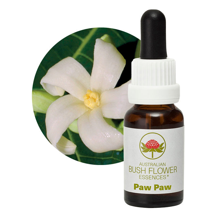 Australian Bush Paw Paw 15ml