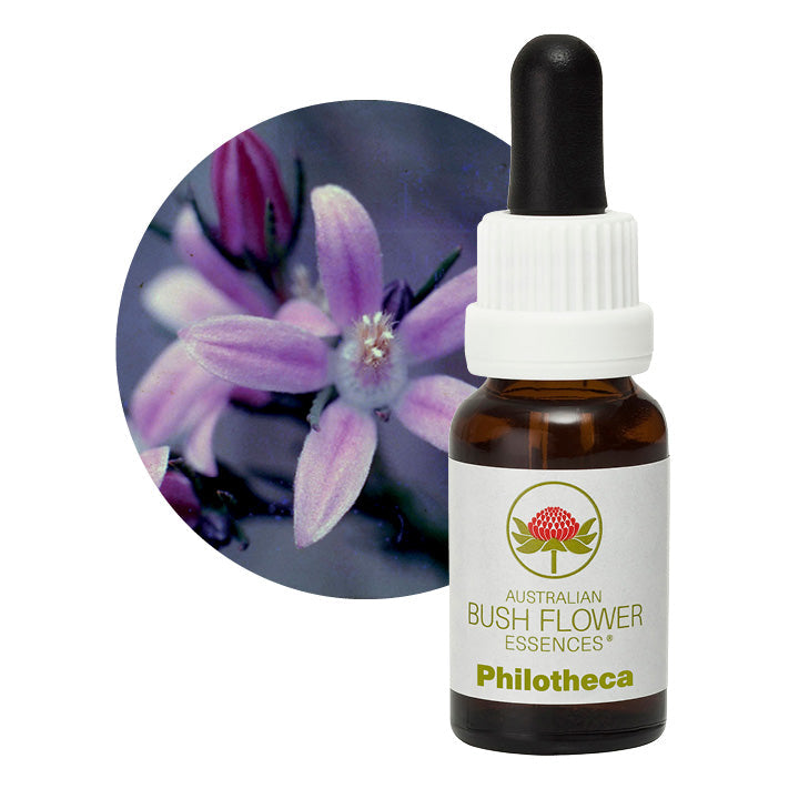 Australian Bush Philotheca 15ml