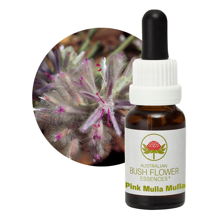 Australian Bush Pink Mulla Mulla 15ml