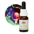 Australian Bush Red Helmet Orchid 15ml