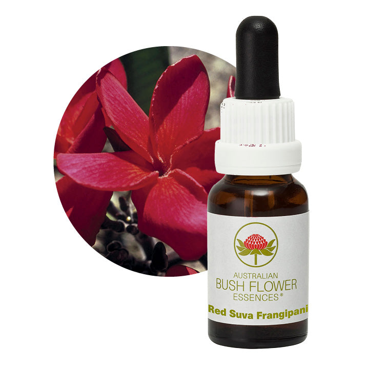 Australian Bush Red Suva Frangipani 15ml
