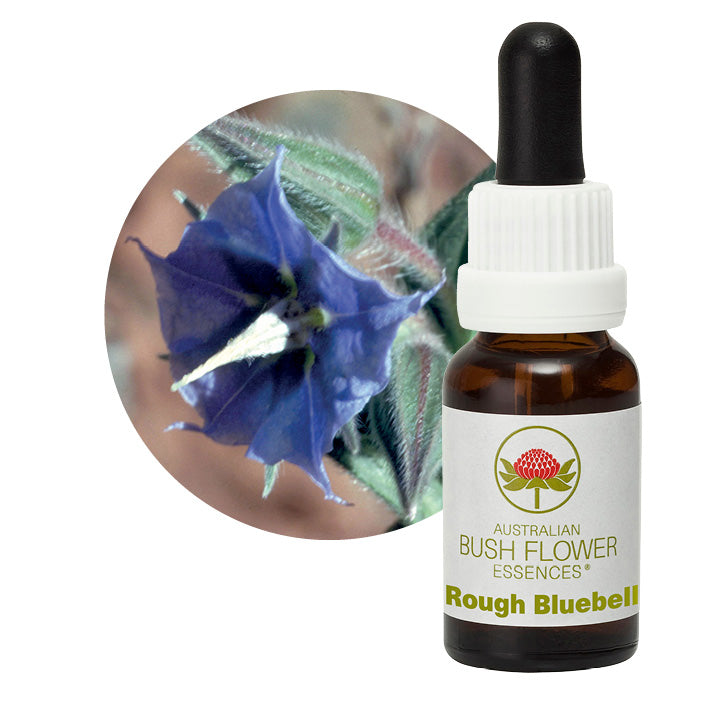 Australian Bush Rough Bluebell 15ml