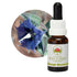 Australian Bush Rough Bluebell 15ml