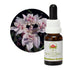 Australian Bush Southern Cross 15ml