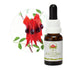 Australian Bush Sturt Desert Pea 15ml