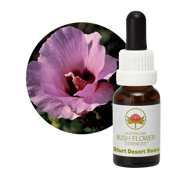 Australian Bush Sturt Desert Rose 15ml