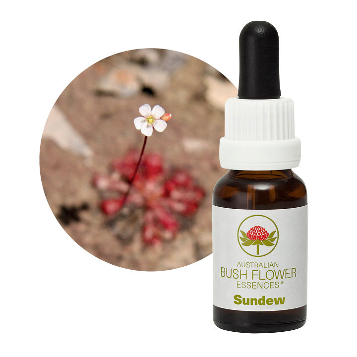 Australian Bush Sundew 15ml