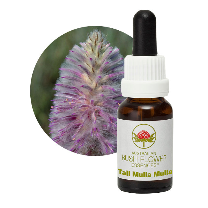 Australian Bush Tall Mulla Mulla 15ml