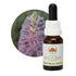 Australian Bush Tall Mulla Mulla 15ml