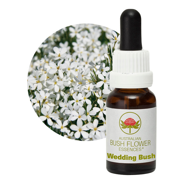 Australian Bush Wedding Bush 15ml