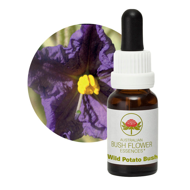 Australian Bush Wild Potato Bush 15ml