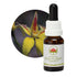Australian Bush Yellow Cowslip Orchid 15ml