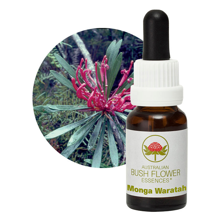 Australian Bush Monga Waratah 15ml