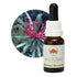 Australian Bush Monga Waratah 15ml