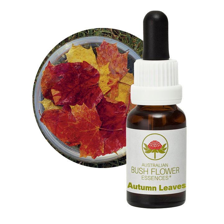 Australian Bush Autumn Leaves 15ml
