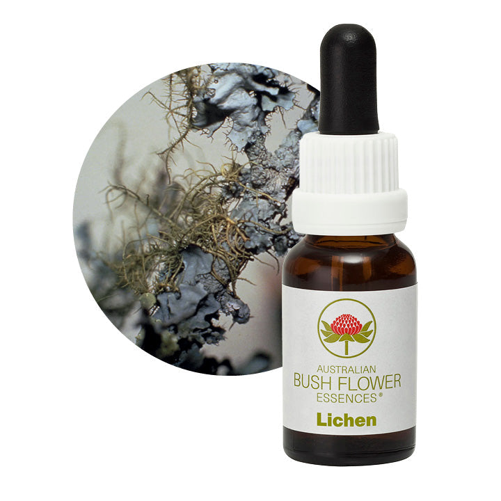 Australian Bush Lichen 15ml