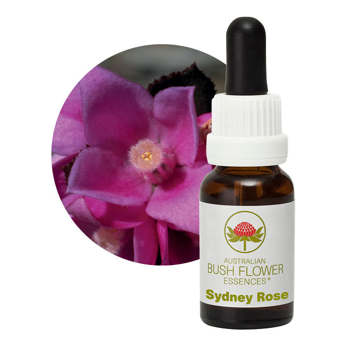 Australian Bush Sydney Rose 15ml