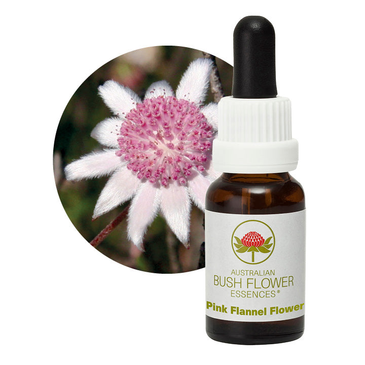 Australian Bush Pink Flannel Flower 15ml