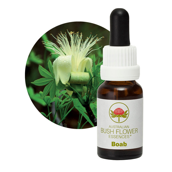 Australian Bush Boab 15ml