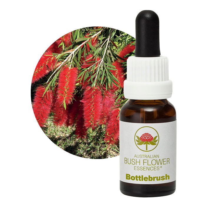 Australian Bush Bottlebrush 15ml