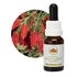 Australian Bush Bottlebrush 15ml