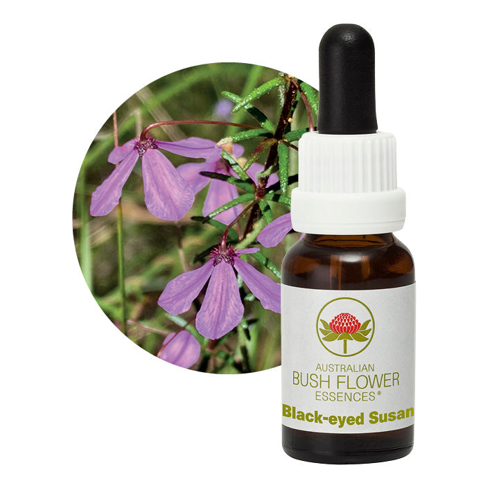 Australian Bush Black Eyed Susan 15ml