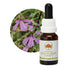 Australian Bush Black Eyed Susan 15ml